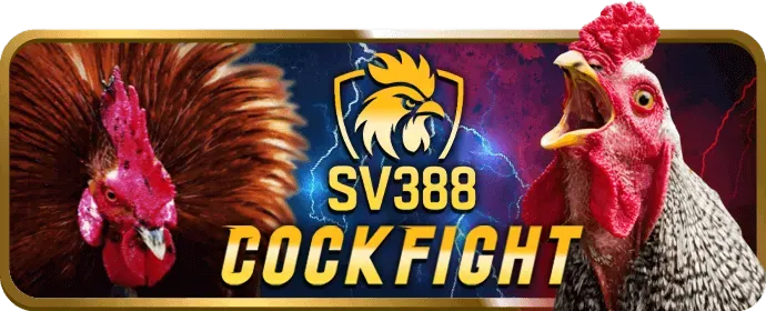Hướng dẫn chơi game SumVip cho người mới